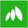 Mynth logo